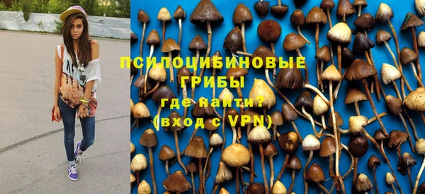 гидропоника Гусь-Хрустальный
