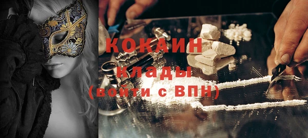 гидропоника Гусь-Хрустальный